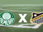 Ler matéria: Campeonato Paulista – Palmeiras Campeão 2023