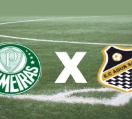Campeonato Paulista – Palmeiras Campeão 2023