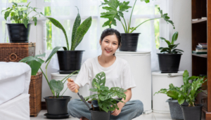 Melhores plantas para cultivar dentro de casa e alegrar seu ambiente