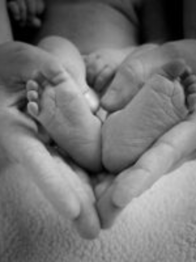 Pavirada.com – Família